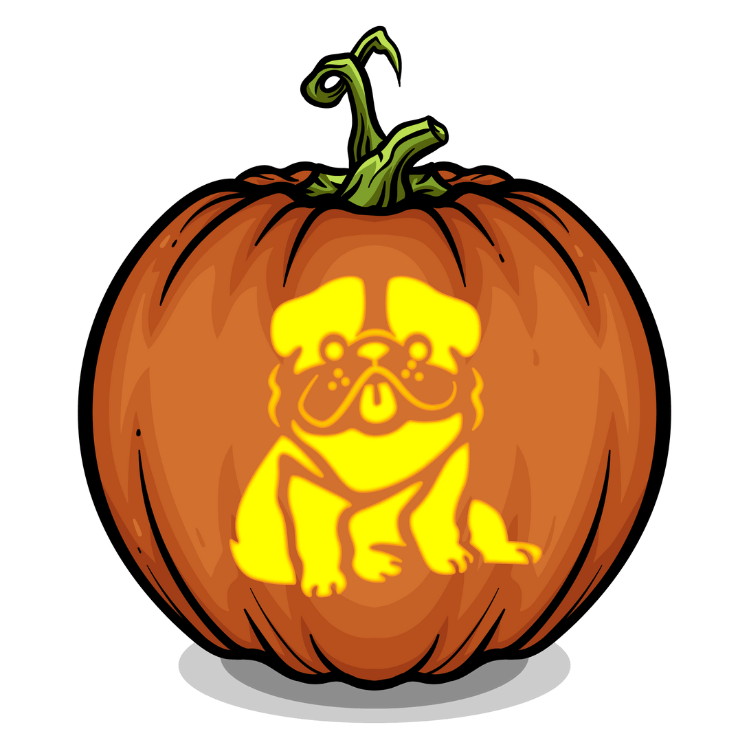 Bulldog Pumpkin Carving Stencil - Pumpkin HQ