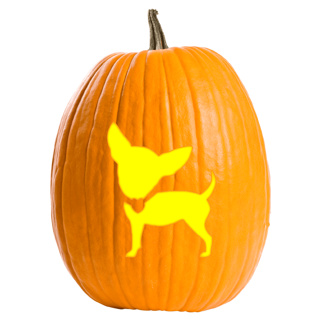 Chic Chihuahua Pumpkin Carving Stencil - Pumpkin HQ