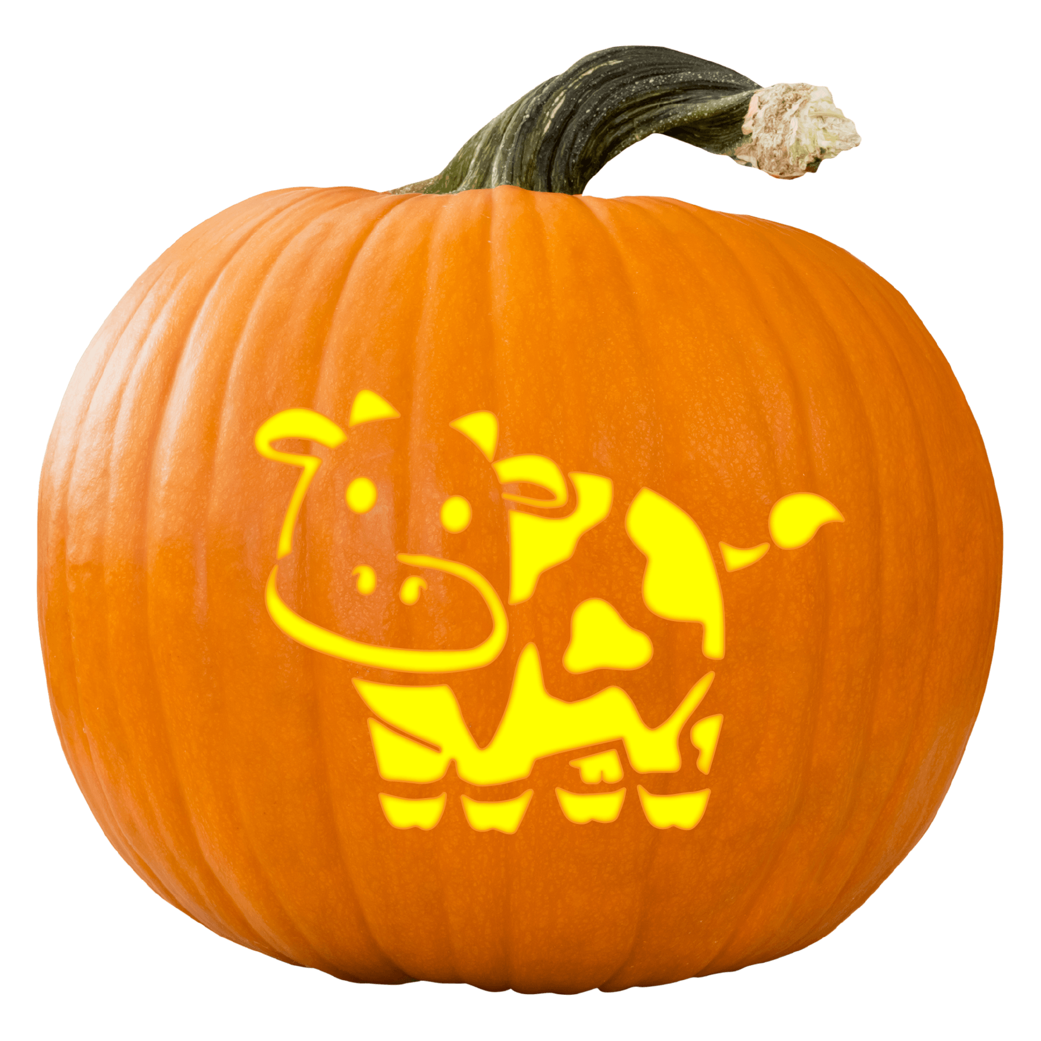 cow-pumpkin-carving-stencil-pumpkin-hq