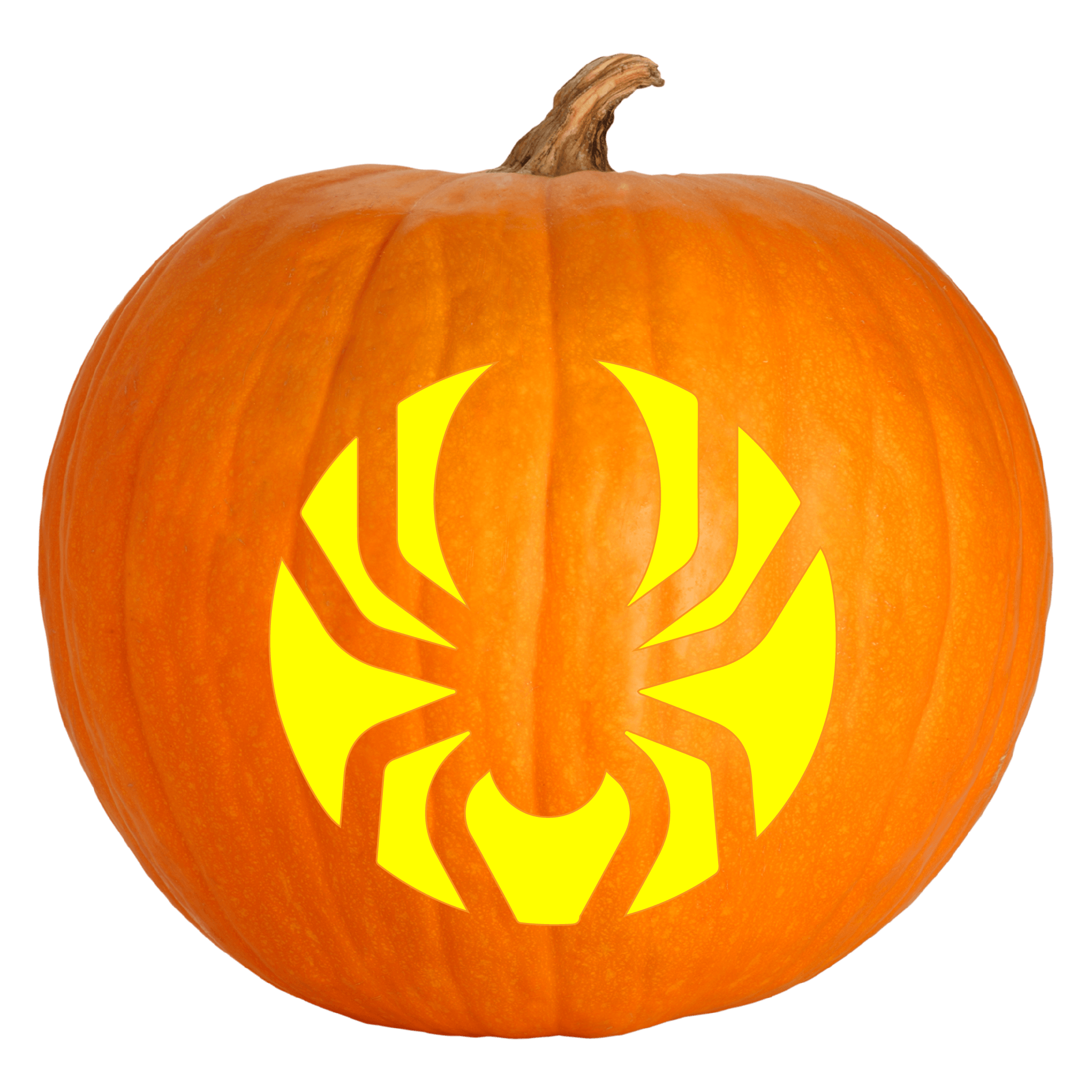 Easy Spider Pumpkin Carving Stencil Pumpkin HQ