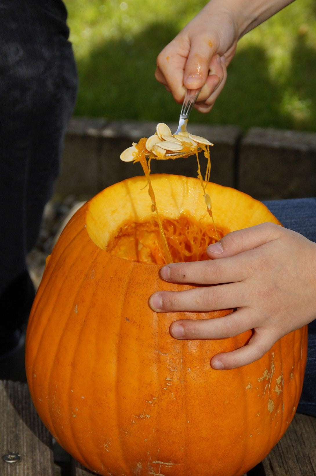 EasyCarve™ Pumpkin Guts Bucket - Pumpkin HQ