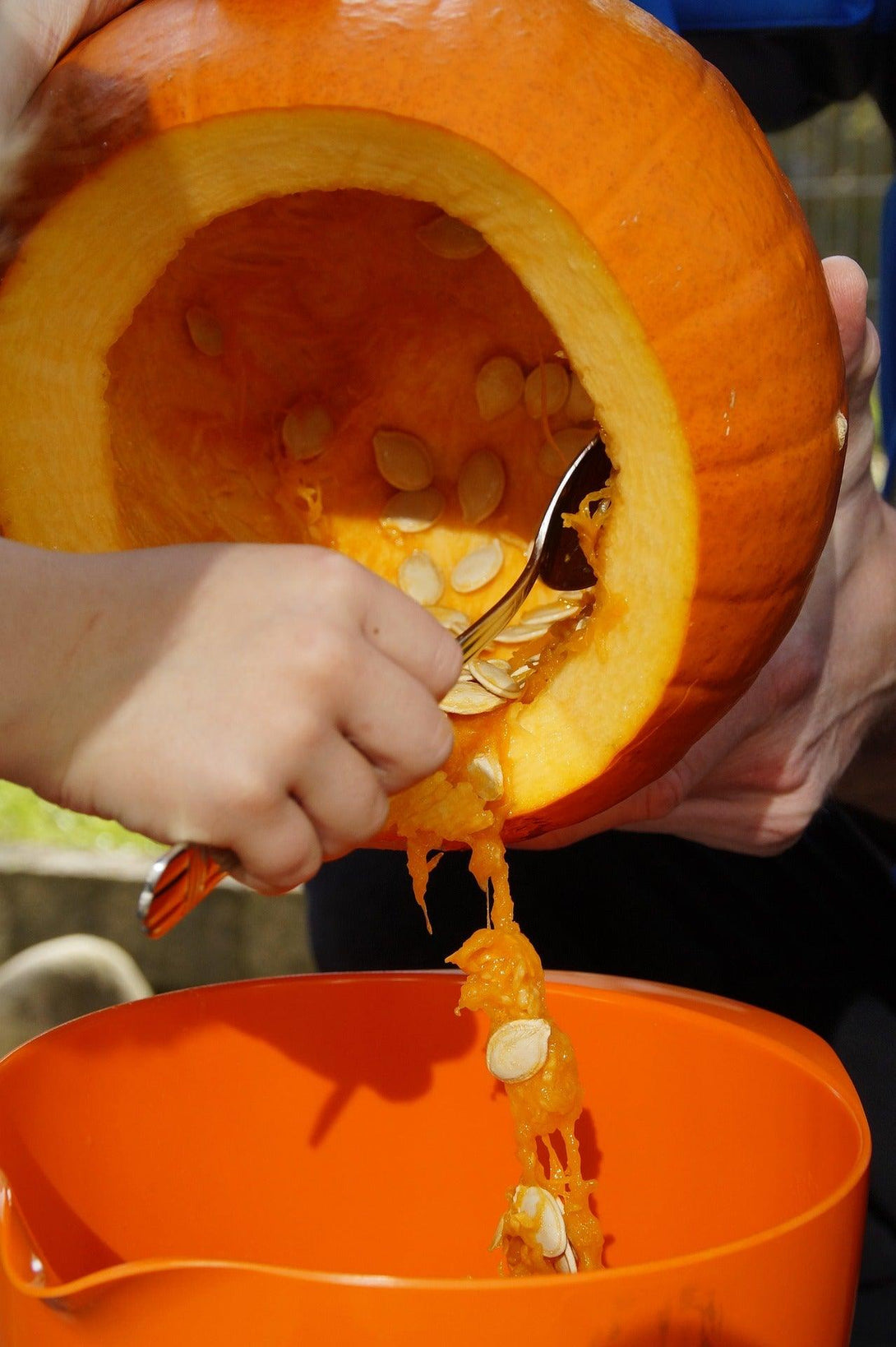 EasyCarve™ Pumpkin Guts Bucket - Pumpkin HQ