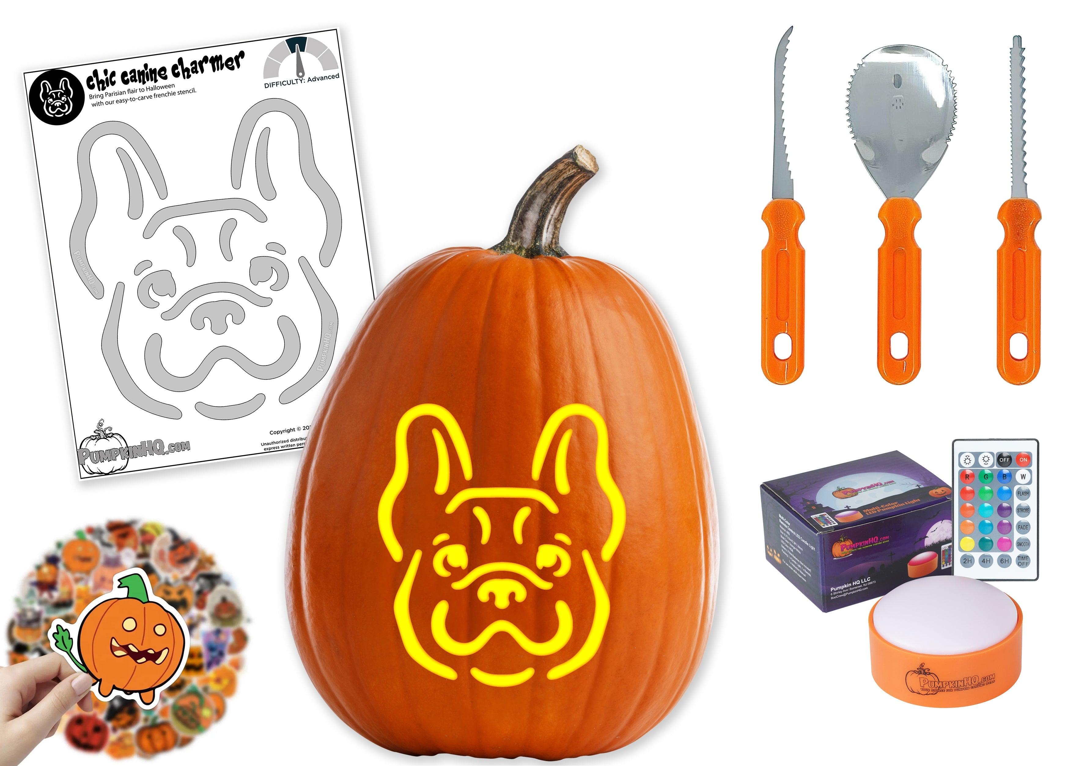 Frenchie Dog Pumpkin Carving Stencil Pumpkin HQ frenchie-dog-pumpkin-carving-stencil-pumpkin-hq