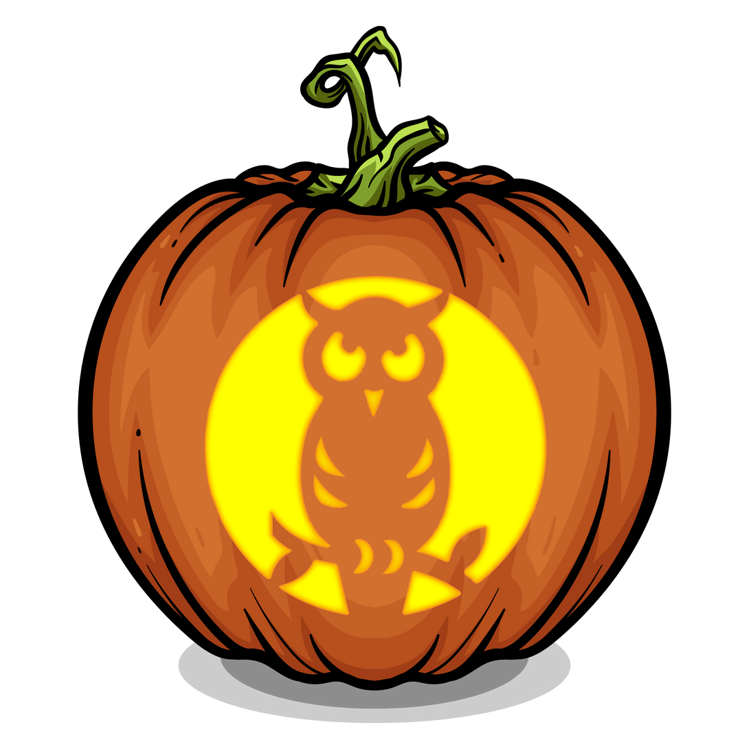 Owl Watching Pumpkin Carving Stencil - Pumpkin HQ