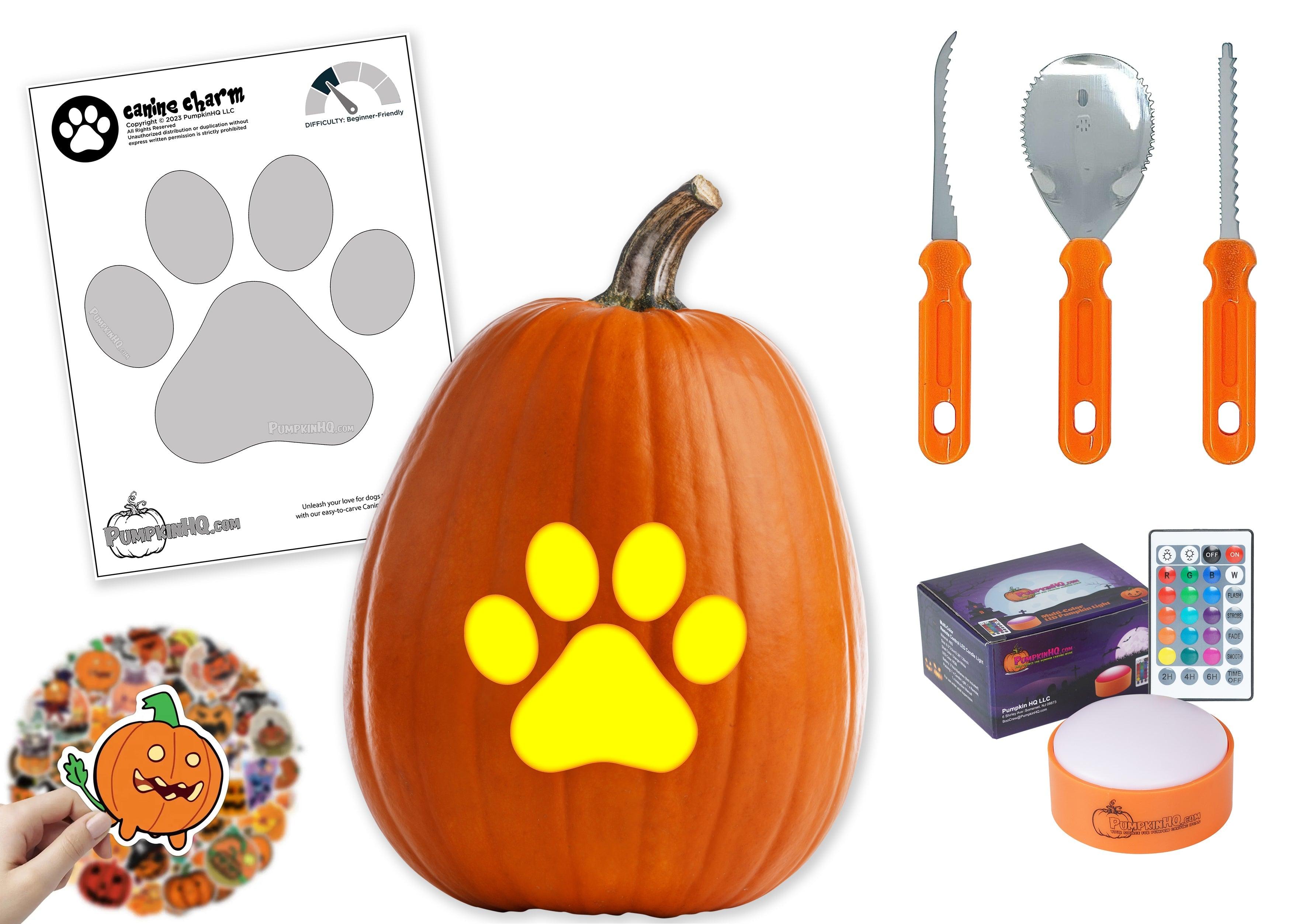 Paw Print Pumpkin Carving Stencil - Pumpkin HQ
