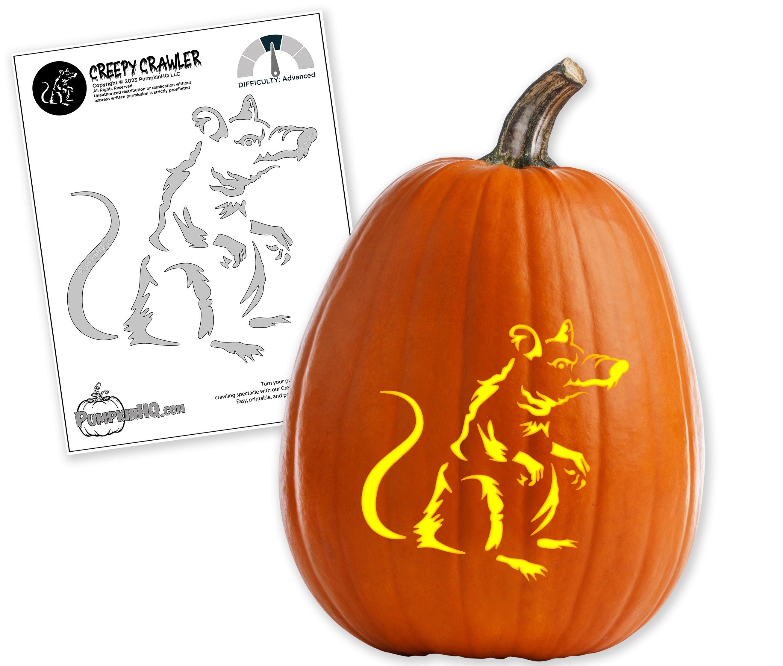 sneaky-rat-pumpkin-carving-stencil-pumpkin-hq